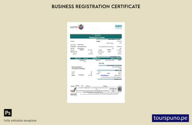 listo para imprimir plantilla de plantilla de Word y PDF de licencia profesional
